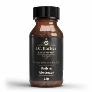 Homeopathic remedy for Boils & Abscesses for pets
